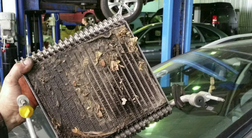 Так выглядит засоренный фильтр салона